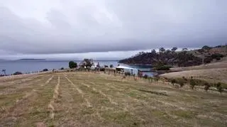 Willa Shearer’s Quarters na australijskiej wyspie Bruny Island