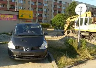 Psy były uwięzione w nagrzanym samochodzie