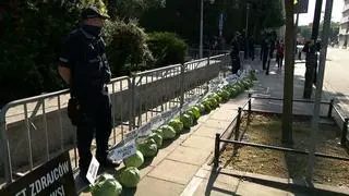 356 główek kapusty przed Sejmem