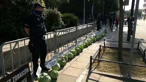 356 główek kapusty przed Sejmem