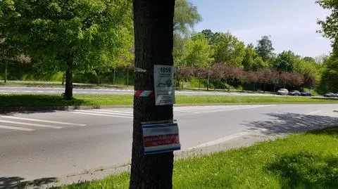 Wycinka ponad tysiąca drzew pod budowę linii tramwajowej. Protest mieszkańców