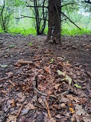 Zabezpieczone wnyki