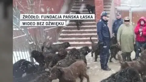 Fundacja Pańska Łaska