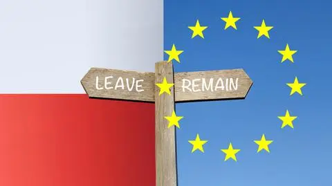 Wystarczy jedno głosowanie czy powinno być referendum? Prawnicy o warunkach wyjścia z Unii Europejskiej