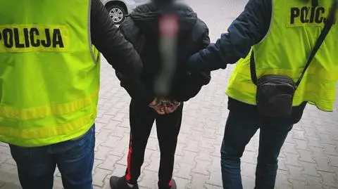 Miał zaatakować kijem bejsbolowym i okraść przechodnia. Schował się przed policją w lodówce 