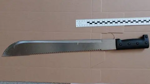 24-latek rzucił się na policjantów z maczetą