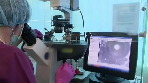 Poznański program wsparcia in vitro trwa od 2017 roku