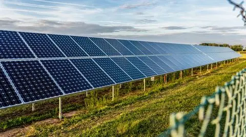 Nowa farma fotowoltaiczna będzie mogła zasilić "ponad 30 tysięcy gospodarstw". Kiedy ruszy budowa?
