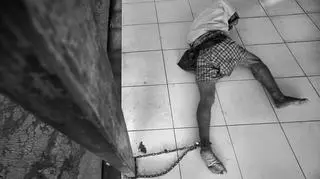 Wyróżnienie: Captive