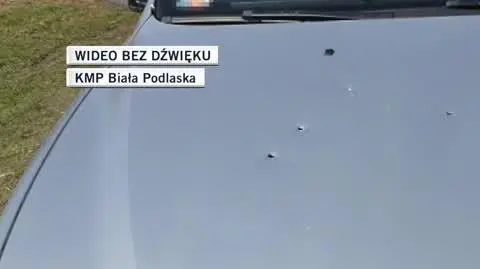 biała podlaska dla Tomka