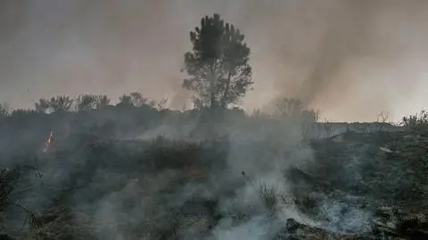 Pożary w Hiszpanii. Płonie wiele regionów, są ranni