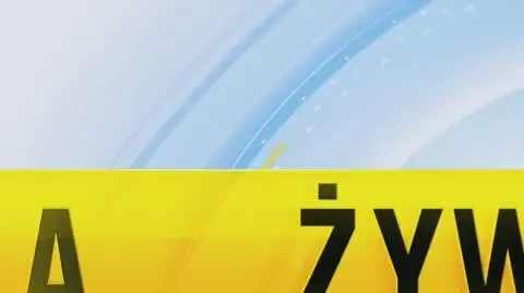 W centrum Katowic znaleziono ciało 17-latka