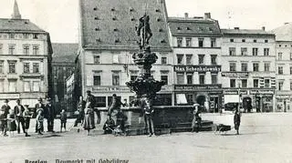 Północna pierzeja Nowego Targu z fontanną Neptuna w części centralnej, 1911