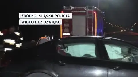 slaska policja