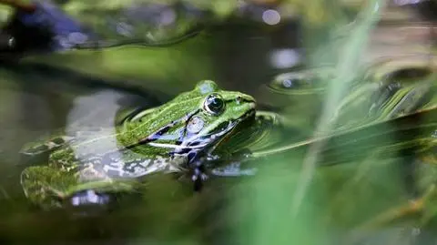 shutterstock_2018456405