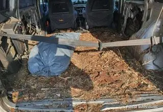 Paka busa pełna była trocin i kawałków drewna