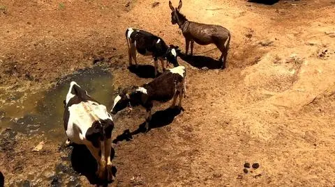 "Otaczający nas świat zaczął wyglądać inaczej. Zrozumieliśmy, że nadciąga katastrofa"