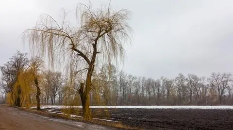 Pogoda na dziś: część Polski pod chmurami. Będzie chłodno