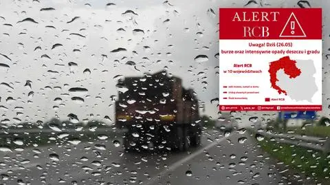 alert