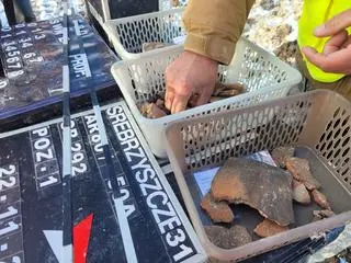 Archeolodzy kontynuują pracę 