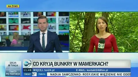 Mamerki gotowe do wiercenia 