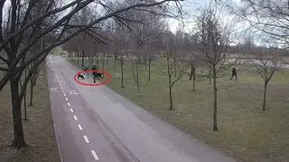 Dwa duże psy biegały po ośrodku wypoczynkowym. Ich właściciela dostali mandaty