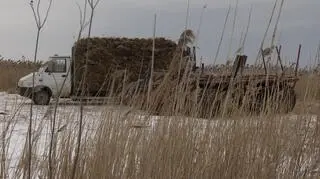 Przypływy zniszczyły część zbiorów