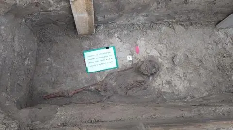 Eight complete skeletons unearthed in Tarnów