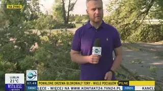 Powalone drzewa, zerwane dachy, uszkodzone samochody. Skutki burzy, która przeszła nad Wrocławiem