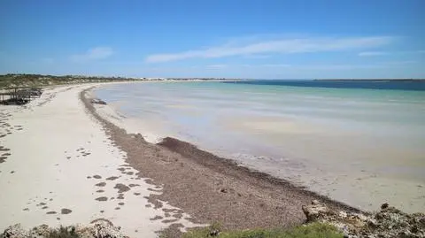 Okolice miejscowości Streaky Bay w Australii