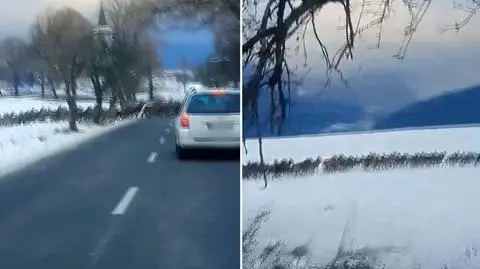 Ogromne stado saren przebiegło drogę