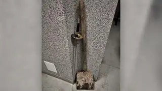 Szpada i szpadel zabezpieczone przez policję