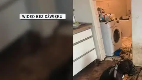 psiak