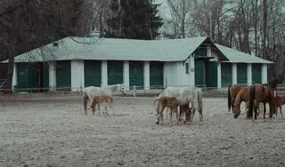 Stadnina koni w Janowie Podlaskim