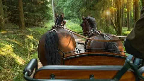 Bryczka się przewróciła, czworo dzieci rannych. Woźnica, gdy go zatrzymano, był nietrzeźwy