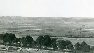 Otwarcie portu i jego rozbudowa spowodowały dynamiczny rozwój Gdyni