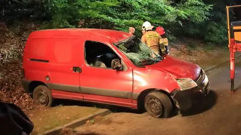Rozbił auto, uciekł do lasu. W samochodzie policjanci znaleźli broń