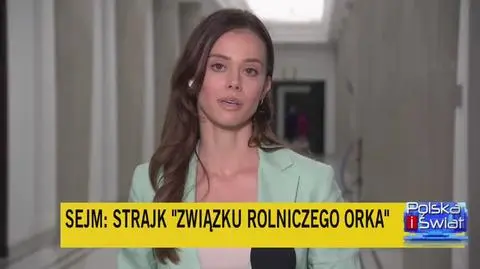 Zamieszanie w Sejmie, protestują rolnicy ze Związku Rolniczego "Orka"