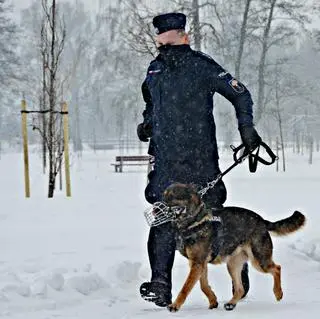 Poszukiwania trwały pół godziny