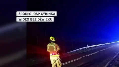 Lubuska policja