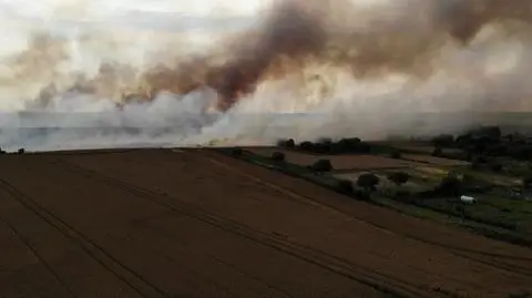 "Dym był widoczny z kilkudziesięciu kilometrów". Spłonęło pole pszenicy, potężne straty