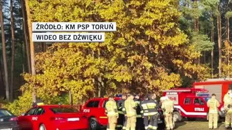 michal 1
