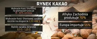 Aktualnie czytasz: W Europie uchodzi za Fair Trade. Ale na plantacjach kakao pracują dzieci
