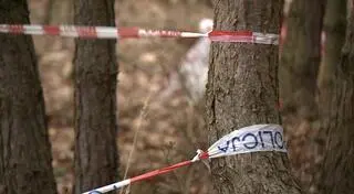 14-latek postrzelił swoją 11-letnią siostrę