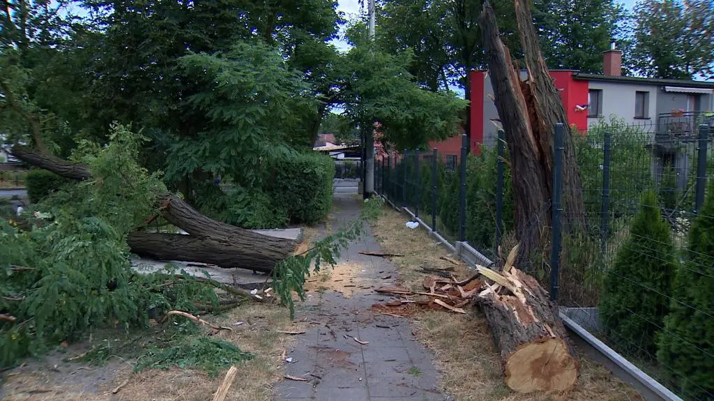 Zniszczenia po burzy w Gliwicach
