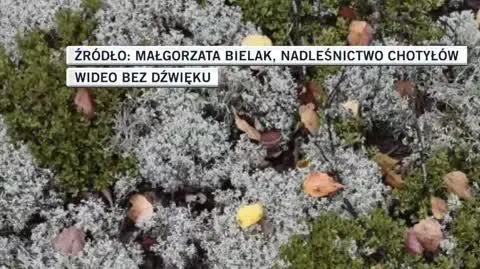 SLIDESHOW