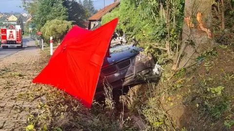 Zjechał z drogi i uderzył w drzewo, zginął na miejscu