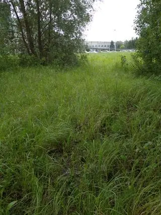 Okolice Mazowieckiego Szpitala Specjalistycznego 4