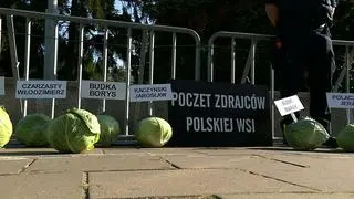 356 główek kapusty przed Sejmem