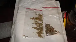  Zabezpieczyli także nasiona, nawozy, lampy, wentylatory, ziemię oraz zgromadzony materiał budowlany